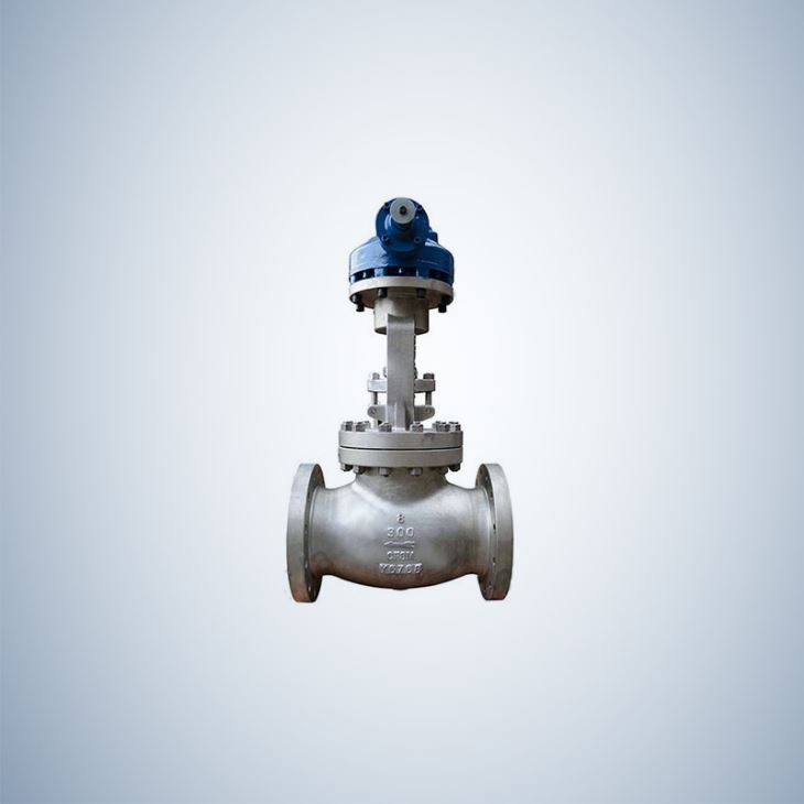 8 Inch Cf8M Globe Valve with Flanged Connection