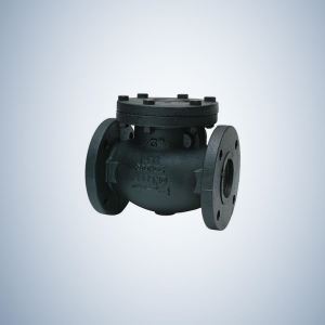 Forged Check Valve Flanged