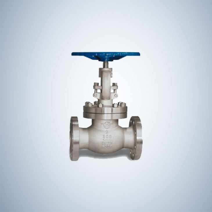 Stainless Steel and Stem Globe Valve Flanged Ends
