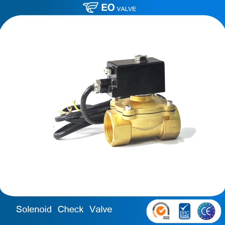 Easy To Control Safety Explosion Proof Nature Gas Check Solenoid Valve