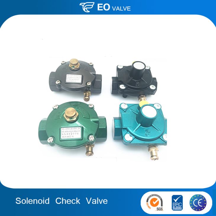 Natural Gas Regulator Solenoid Check Valves