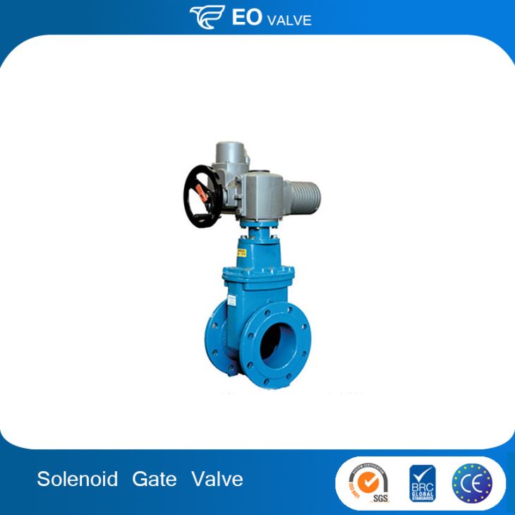 Solenoid Valve Electric Water Gate Valve With Price